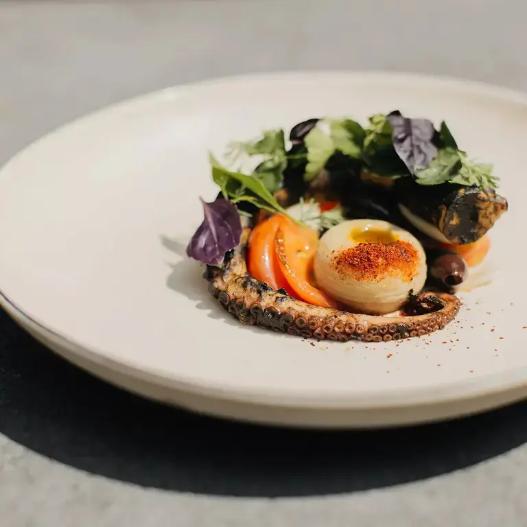 PUJOL Octopus, habanero ink, ayocote, veracruzana sauce