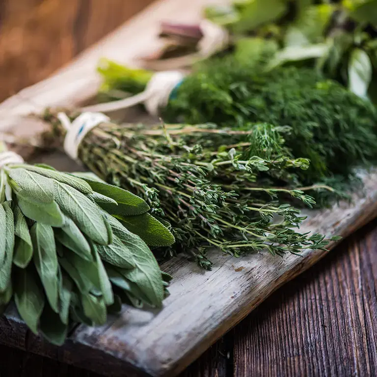 Selection of herbs tied with twine.