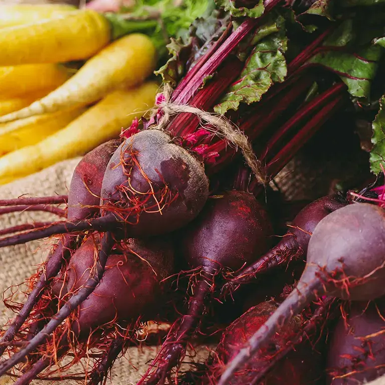 Purple beets and yellow carrots.