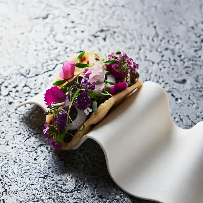 Rapeseed taco at Spora.