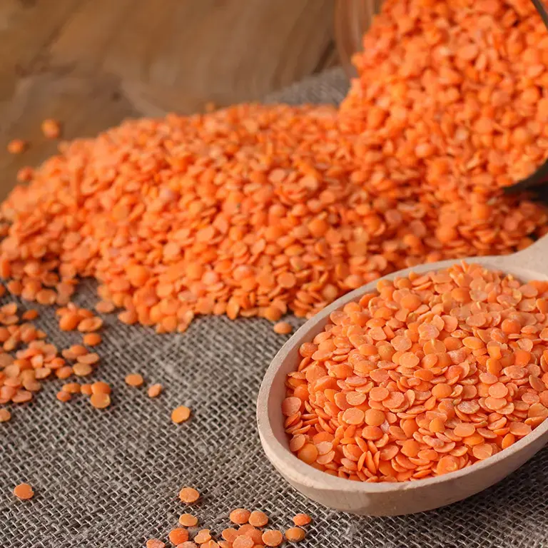 how to cook red lentils - Fine Dining Lovers
