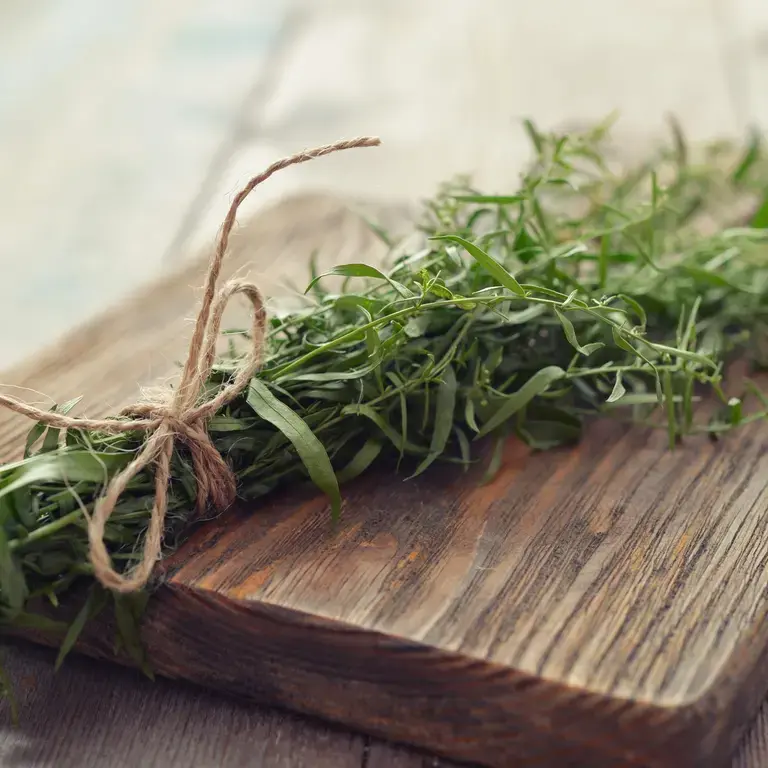 tarragon recipes - Fine Dining Lovers