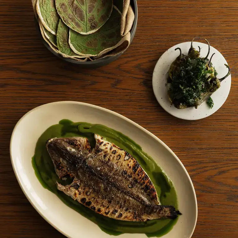 Fish dish at Norte on the Gold Coast.