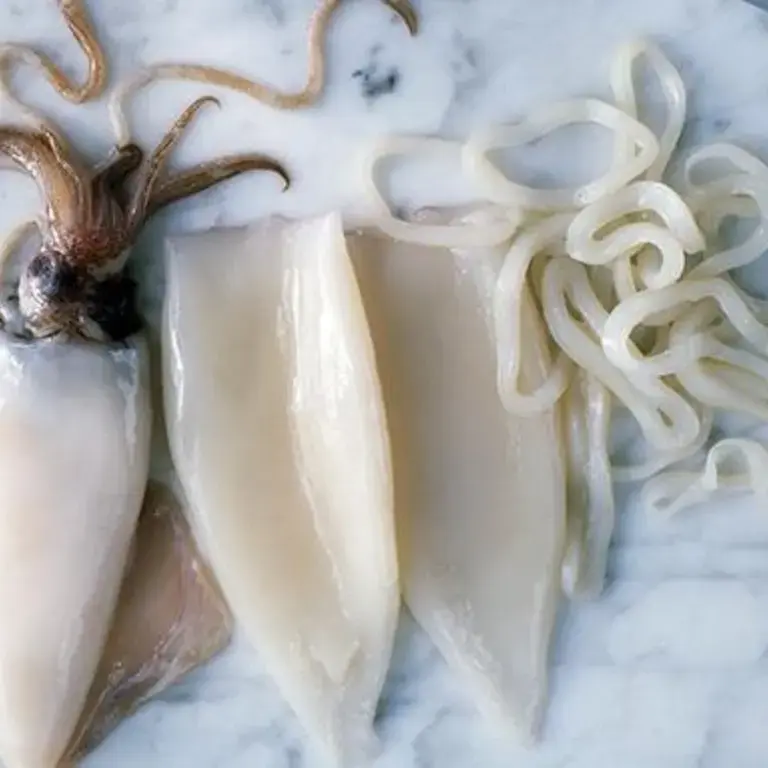 Craving Calamari? Learn How to Clean Squid