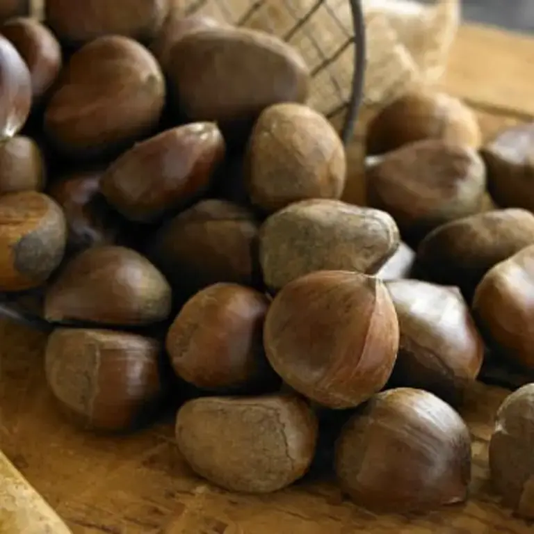 11 Recipes That Will Make You Fall in Love With Chestnuts