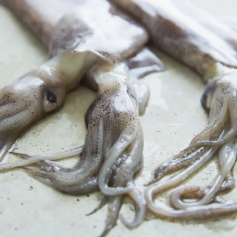 Squid Recipes:  10 Tempting Ways of Cooking with Squid