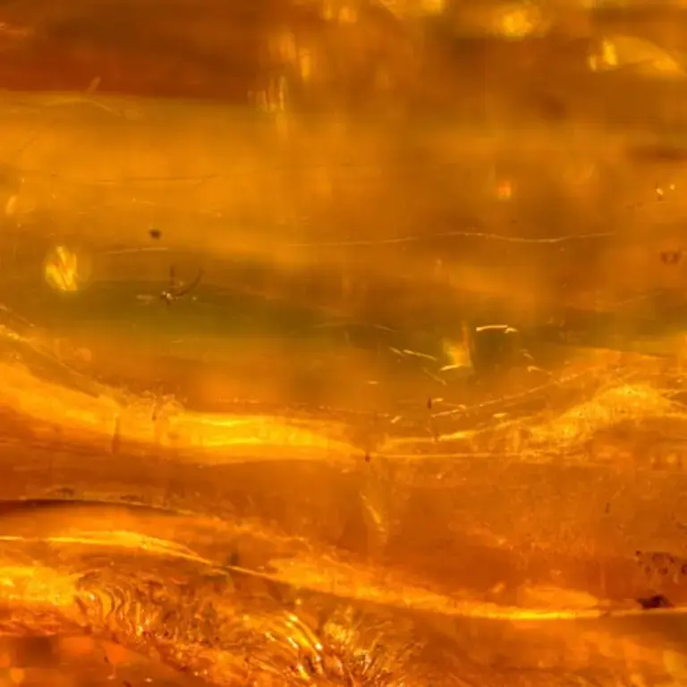 Original_13252_Resins-Amber-FDL-TP