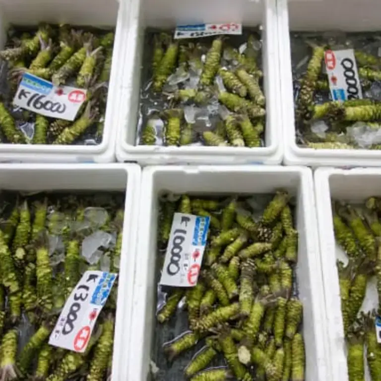 Wasabi: Where does it Come From?