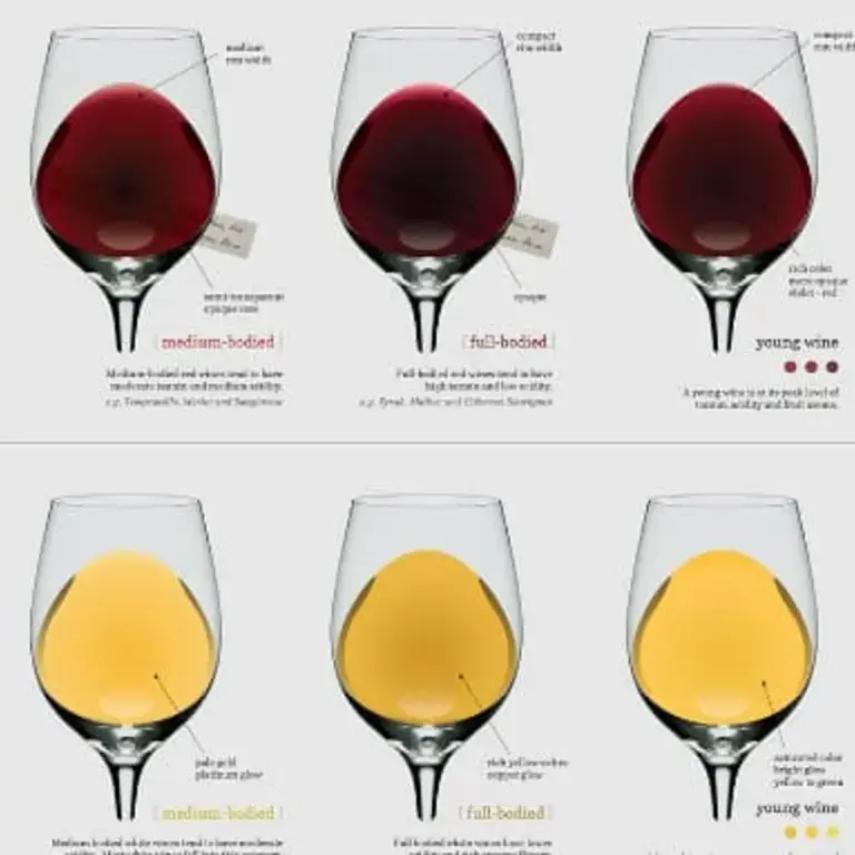 Wine Body and Colour Explained