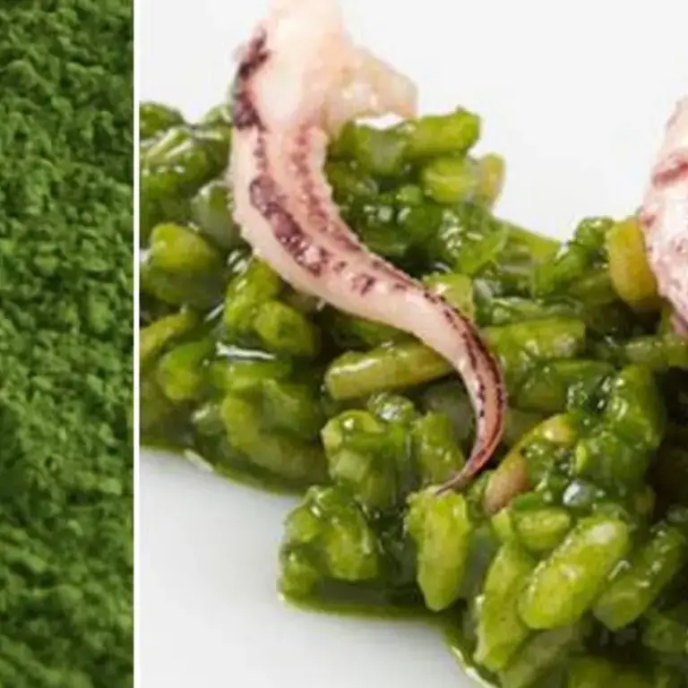 Plankton: What it is and How to Cook with it