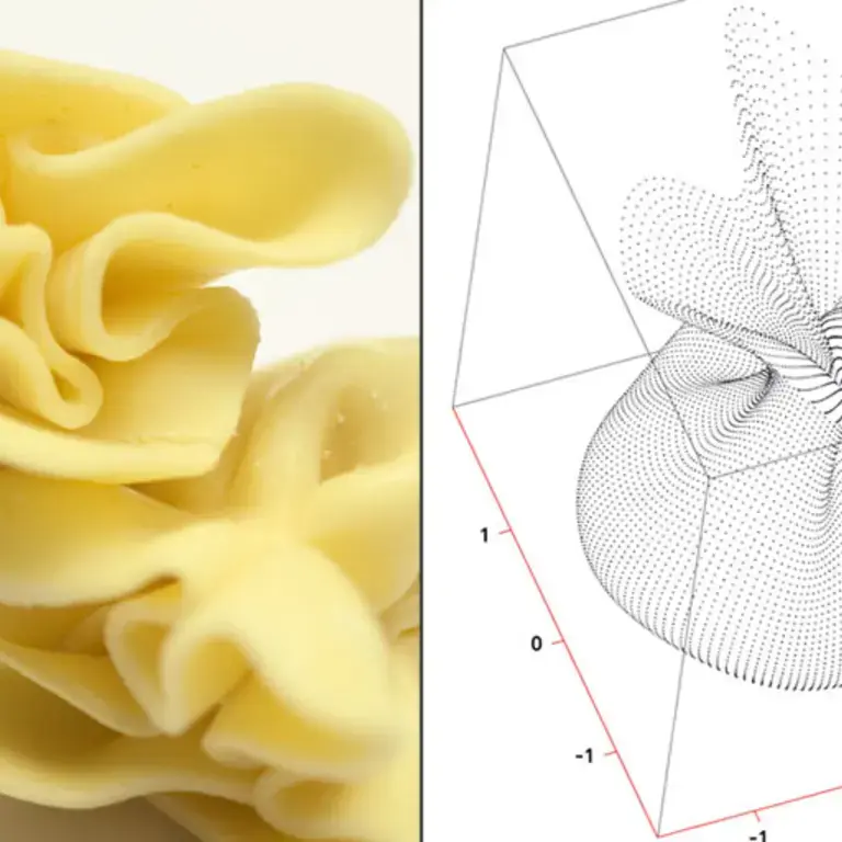 Original_1500_pasta-design-393-TP