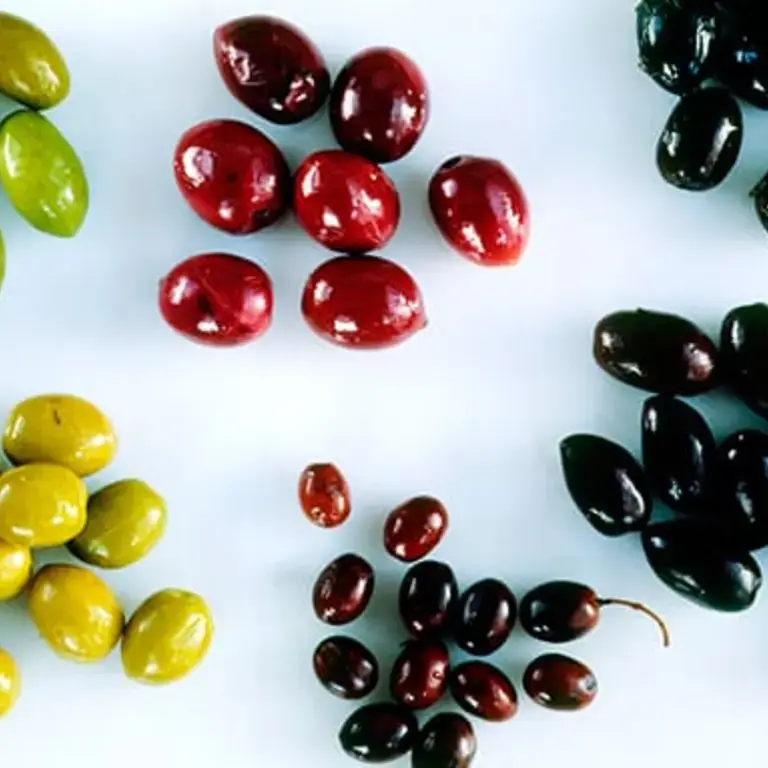Greek Olives: A Guide to 5 Table Olives