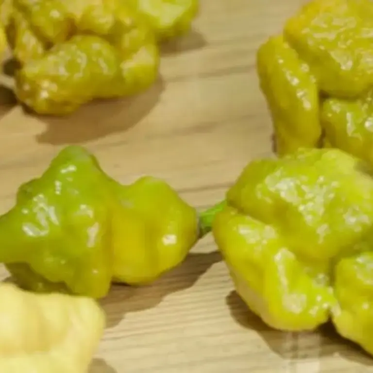 'Pepper X' is the New World’s Hottest Pepper