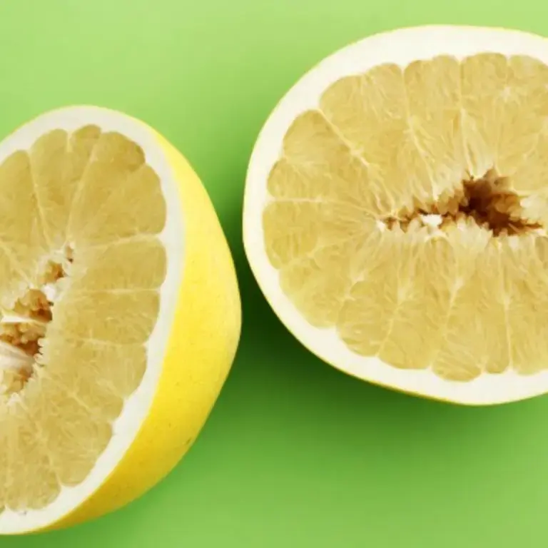 What Is Jabong Fruit?