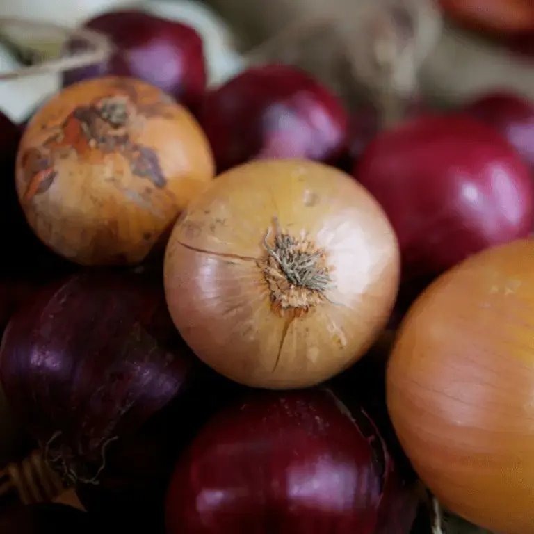 Different Types of Onions