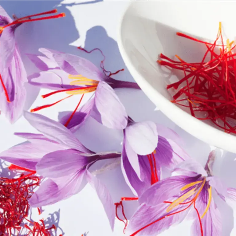 These Are The World's Most Expensive Spices