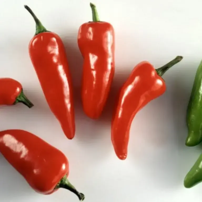 Red Jalapeños vs. Green Jalapeños: What's The Difference?