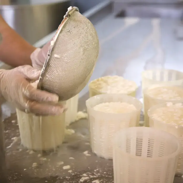 Cheese Making Courses