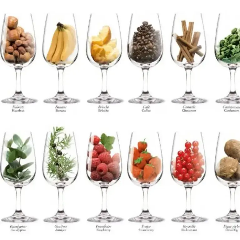 100 Most Common Wine Aromas