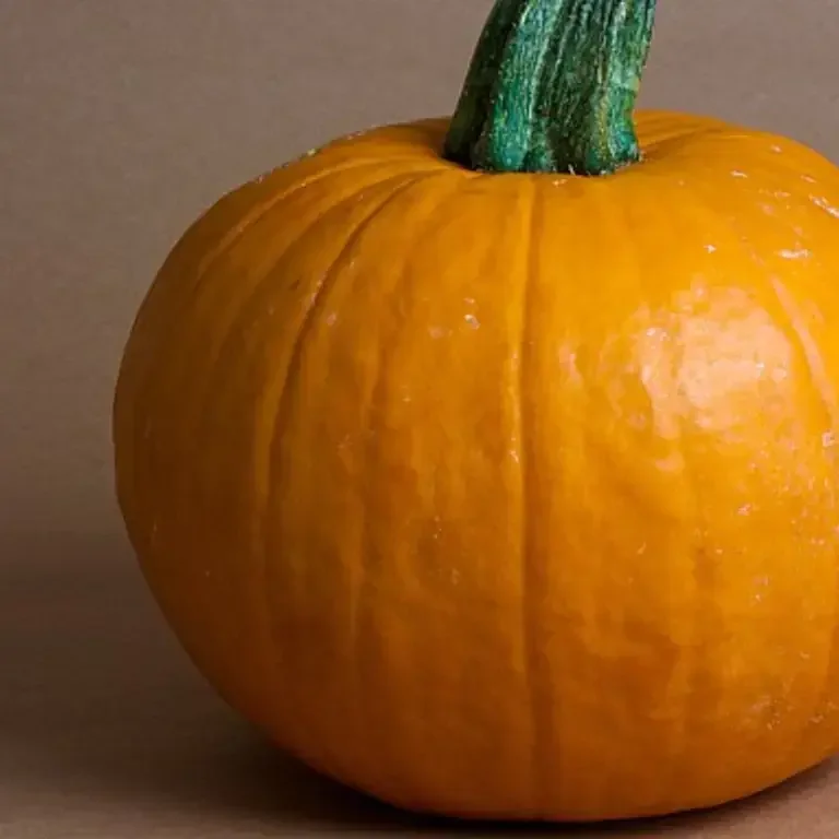 Pumpkin Puree vs. Pumpkin Pie Filling: What's the Difference?