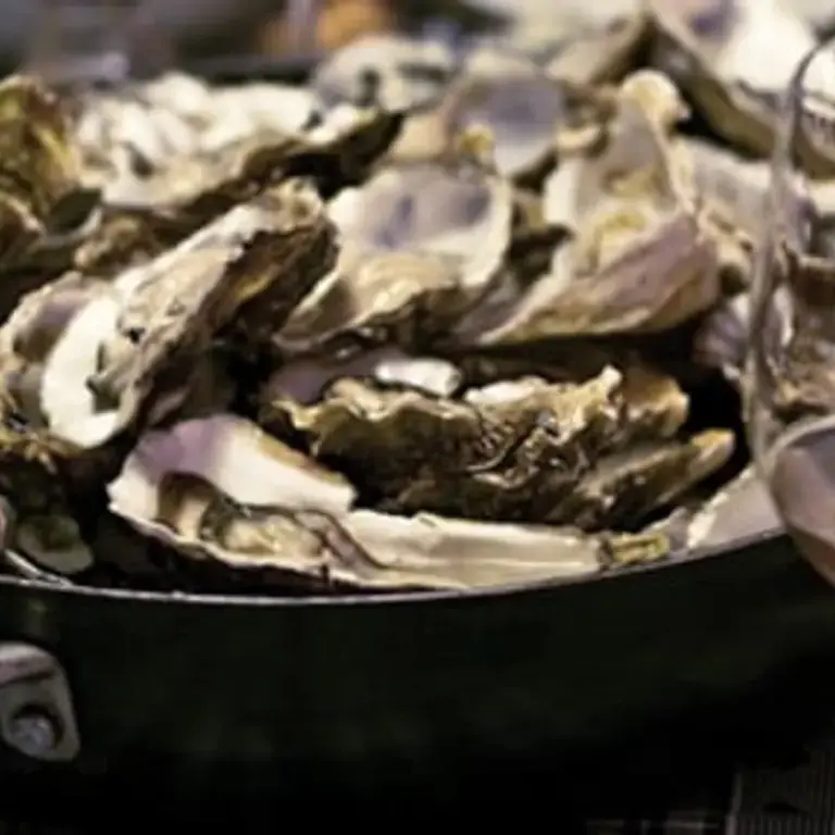 Aphrodisiac Food: the Top Ten List of Sexy Dishes