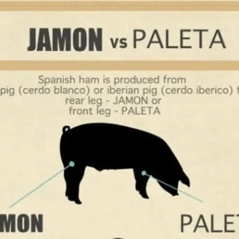 Jamon vs Paleta Infographic