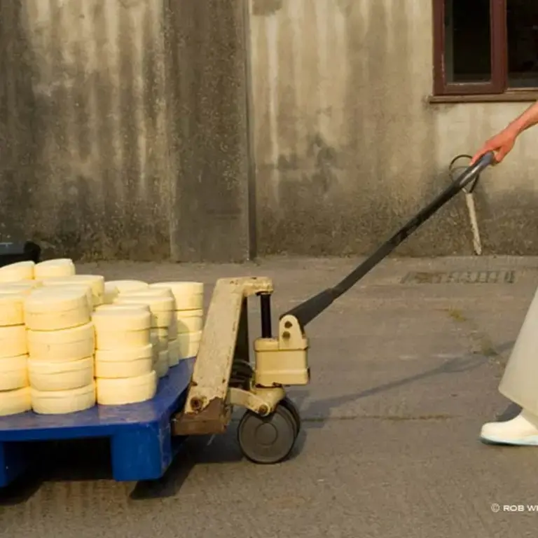 Original_4530_TP-pecorino