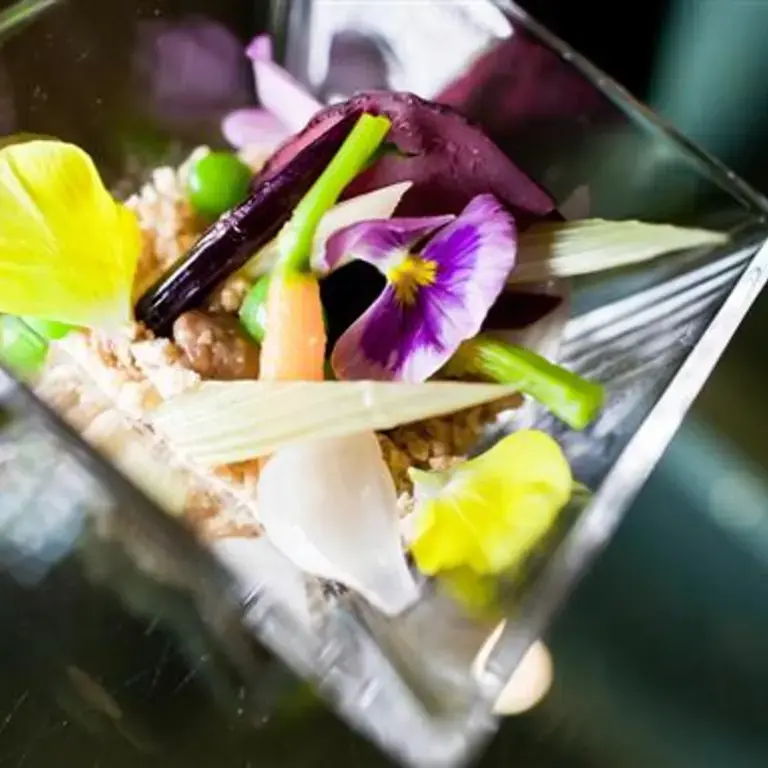 Vegetarian Recipes: Michelin-Starred Vegetarian Recipes | A Chef's Touch