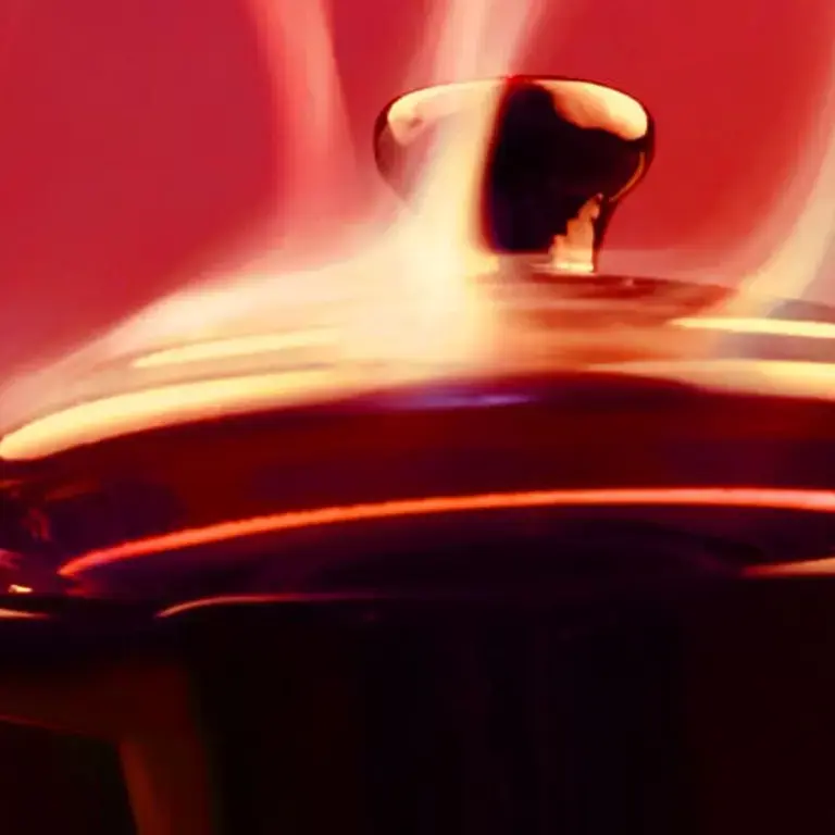 Original_8777_braising-finedininglovers-TP