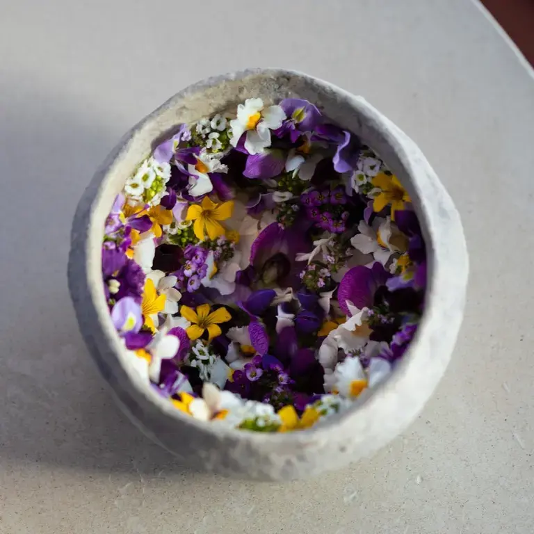 A dish at Vespertine.