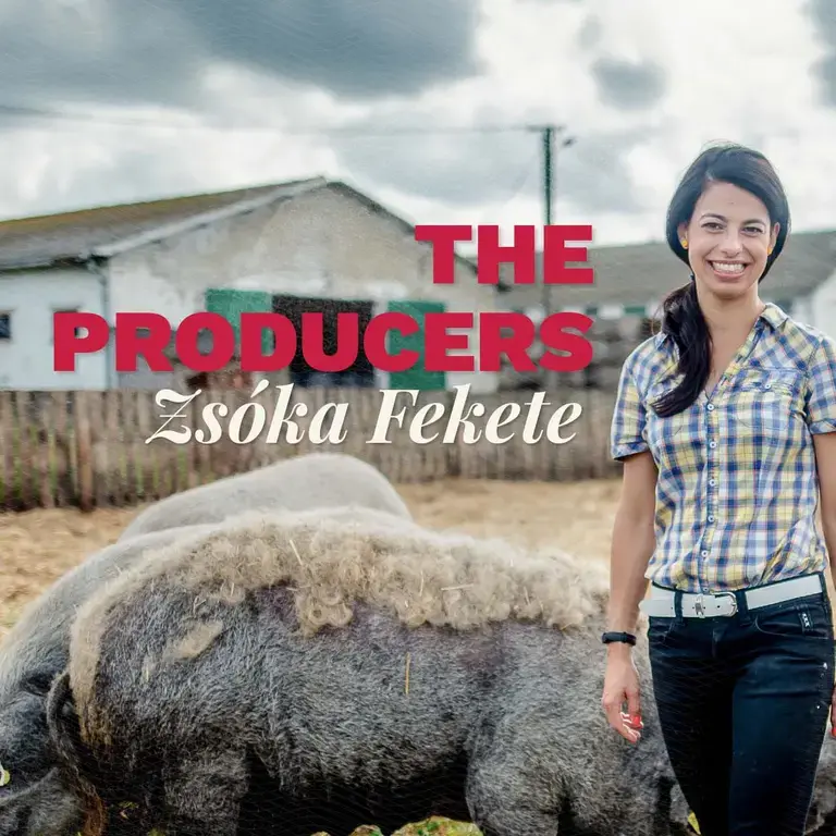 A woman standing next to pigs.