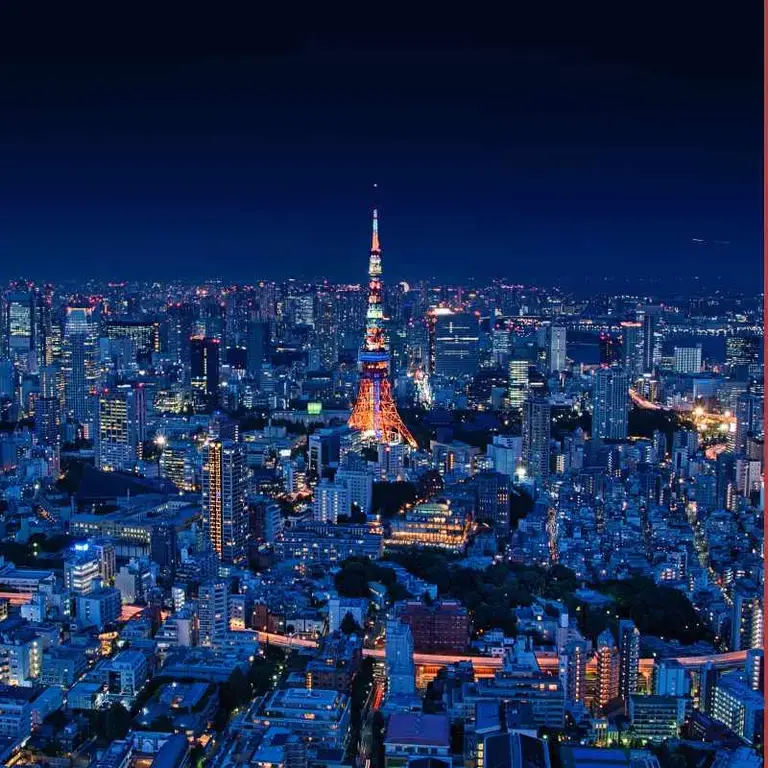 Tokyo at night