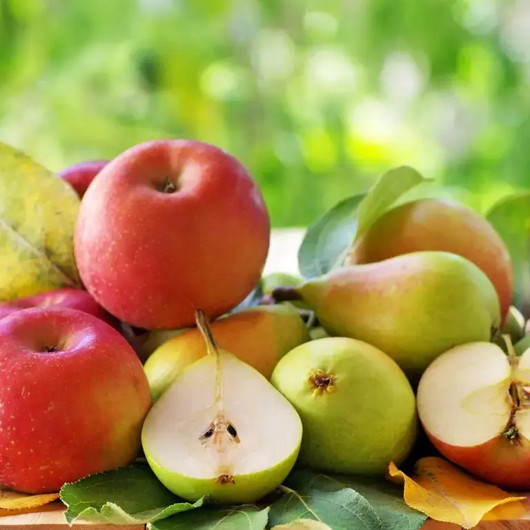 apples and pears ©iStock
