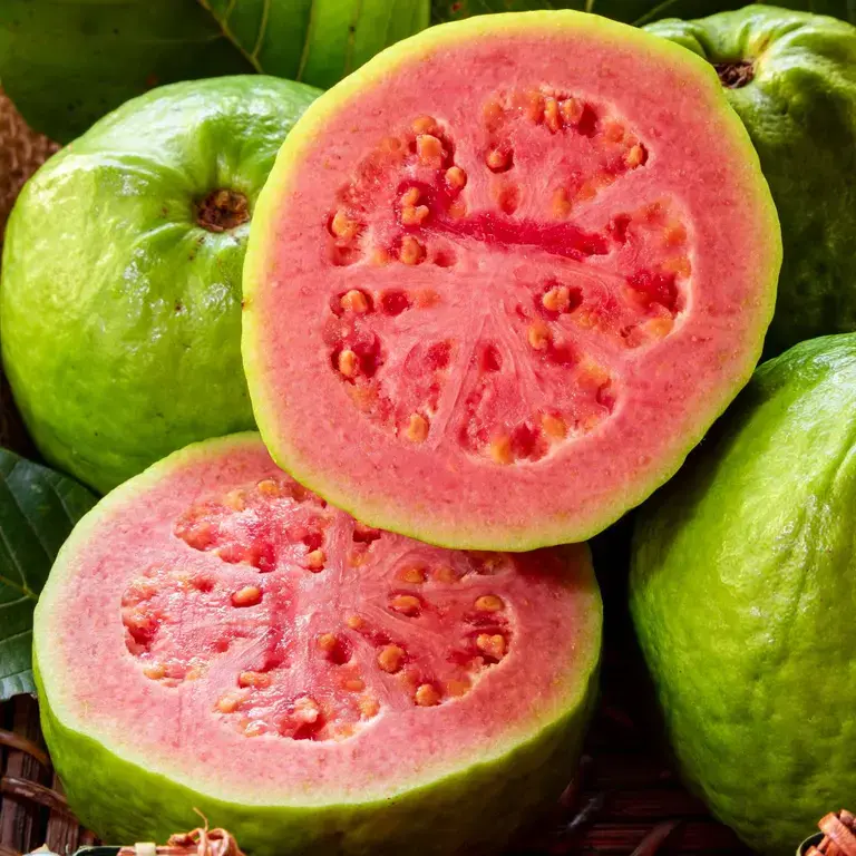 guava