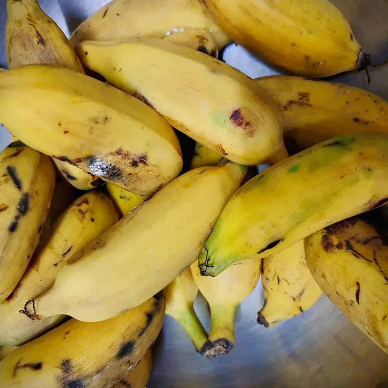 leftover-ripe-bananas