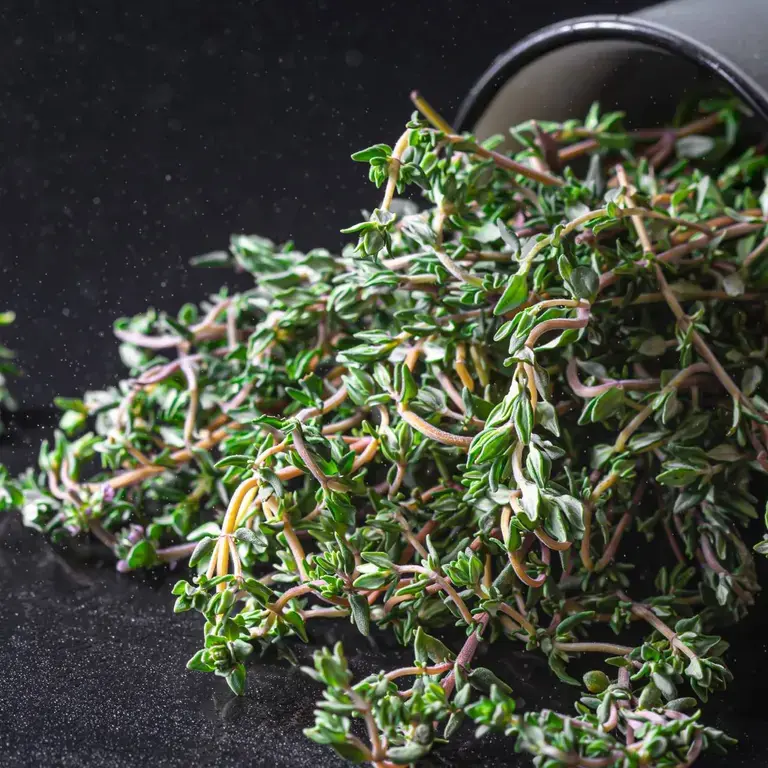 lemon-thyme