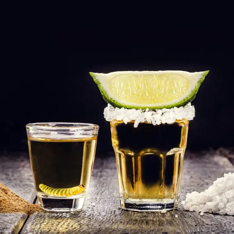 mezcal-vs-tequila