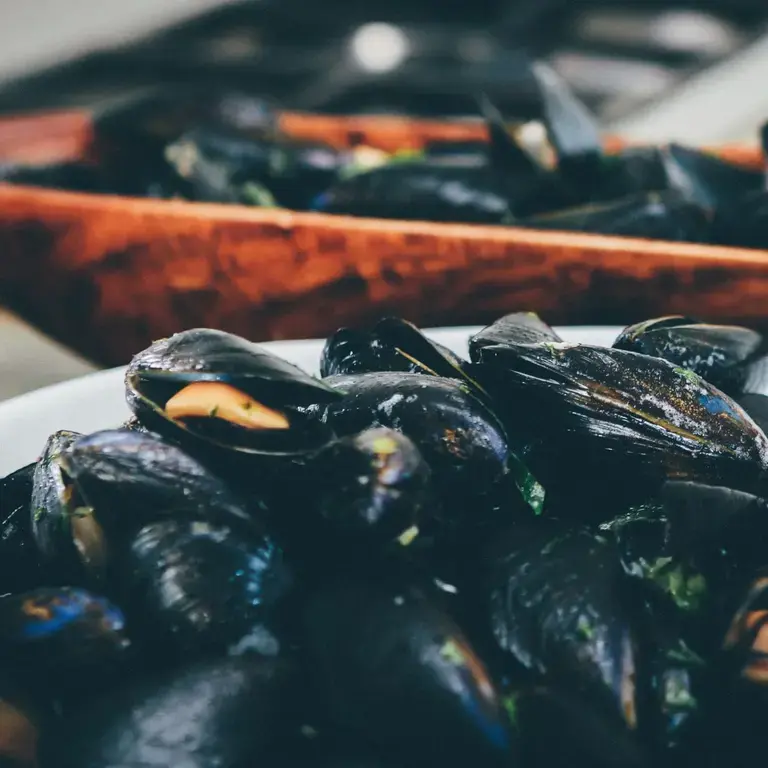 Mussels