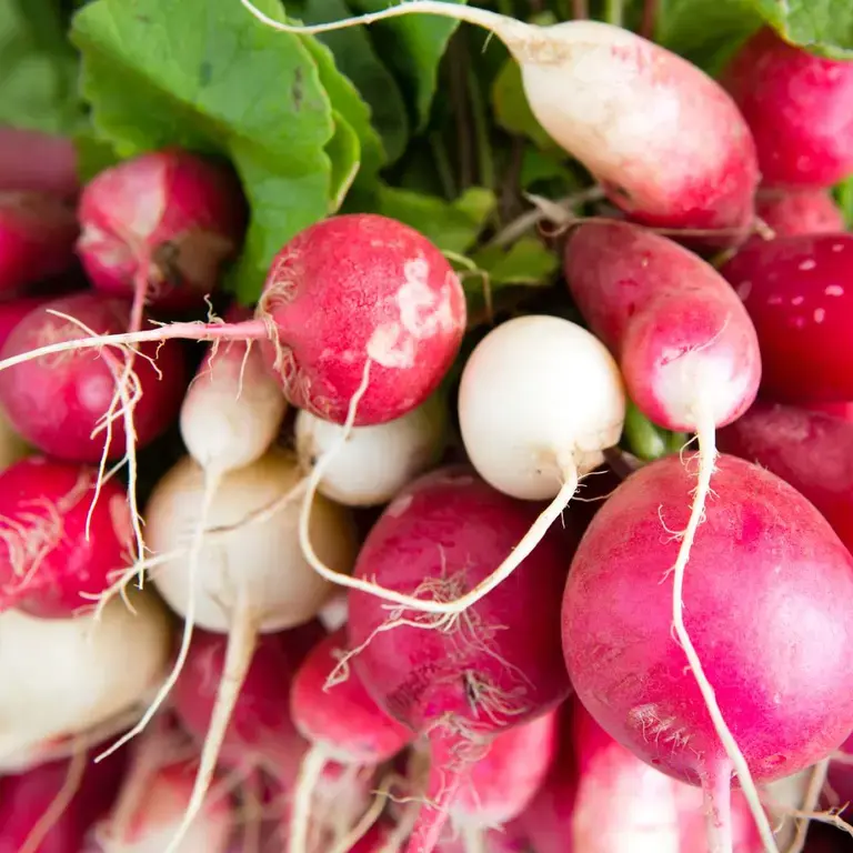 radishes ©iStock