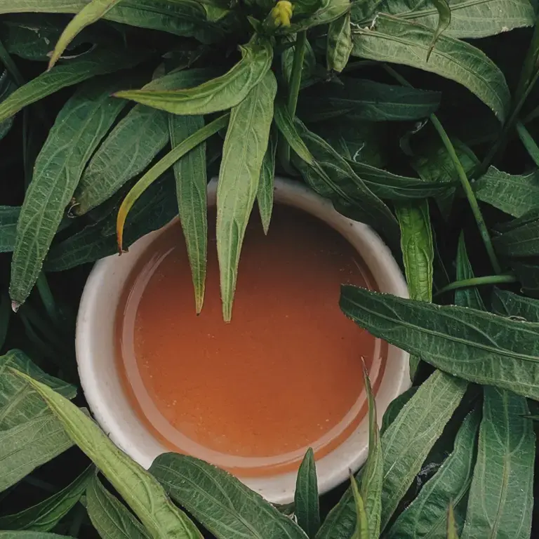 A cup of tea amongst leaves.
