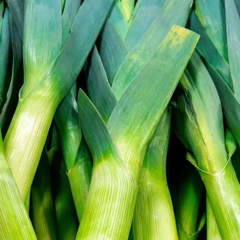 What to do With the Ends of Leeks?
