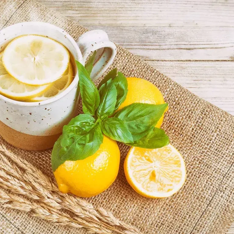 A mug of hot water with fresh lemon and fresh basil