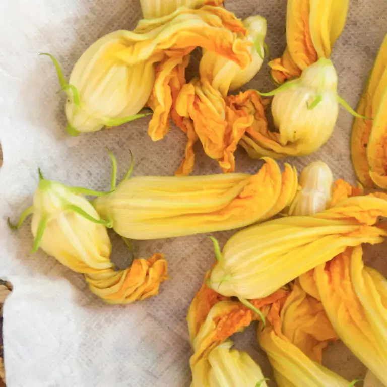 Courgette flowers in a basket.