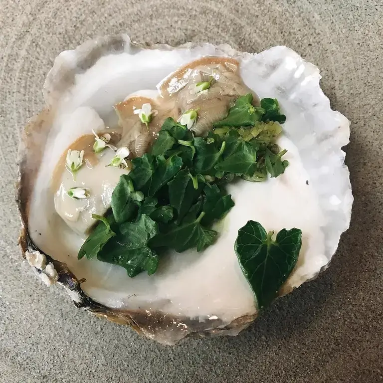 Limfjord Oyster