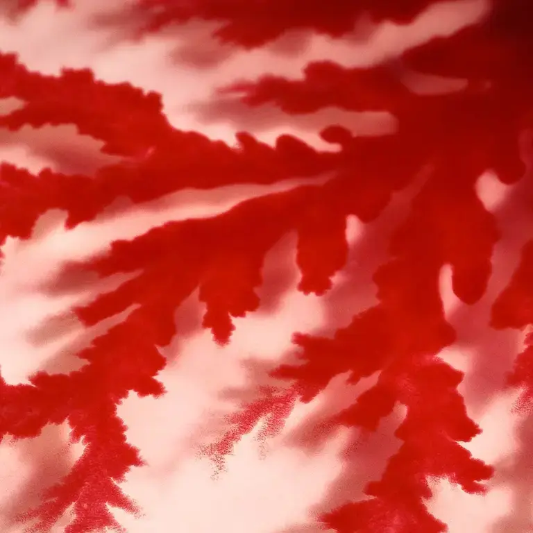 Hidromiel Y Fractal Fluido - Mead And Fractal Fluid