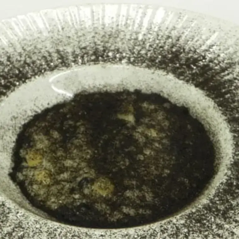 Mushroom Risotto With Sweetbreads And Grana Padano Cheese