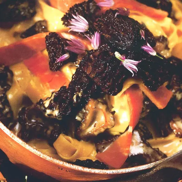 Fettuccine with morels and country ham.
