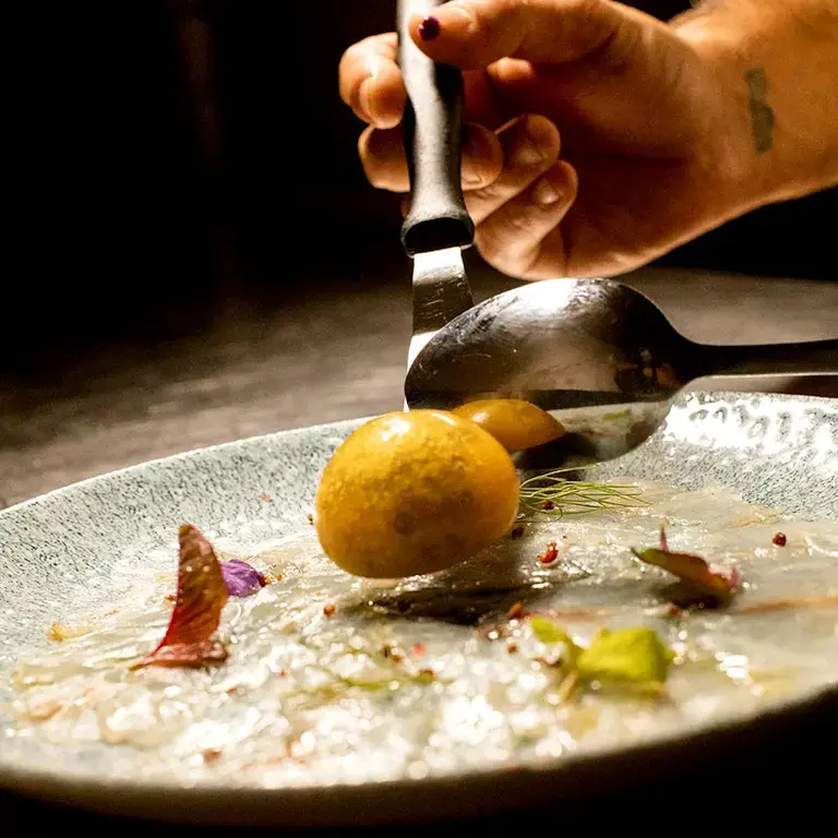 Cutting-Edge Cuisine