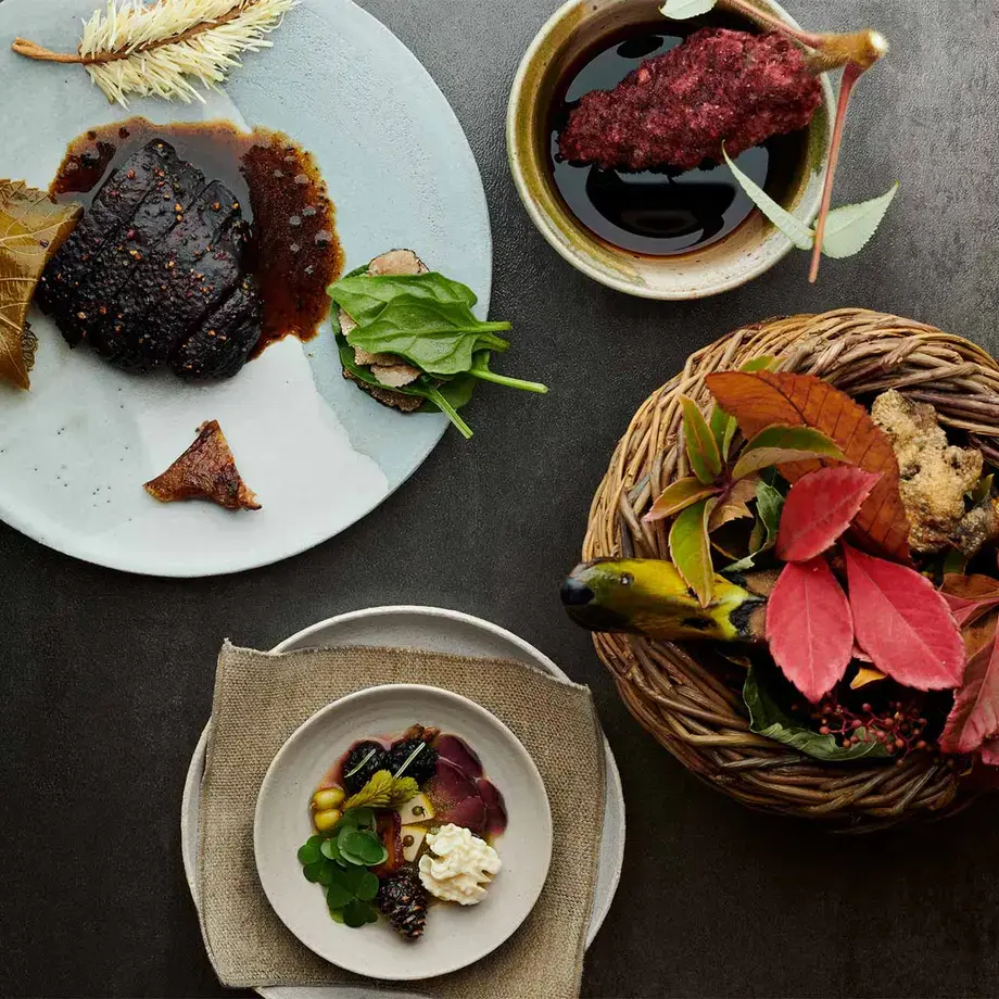 noma