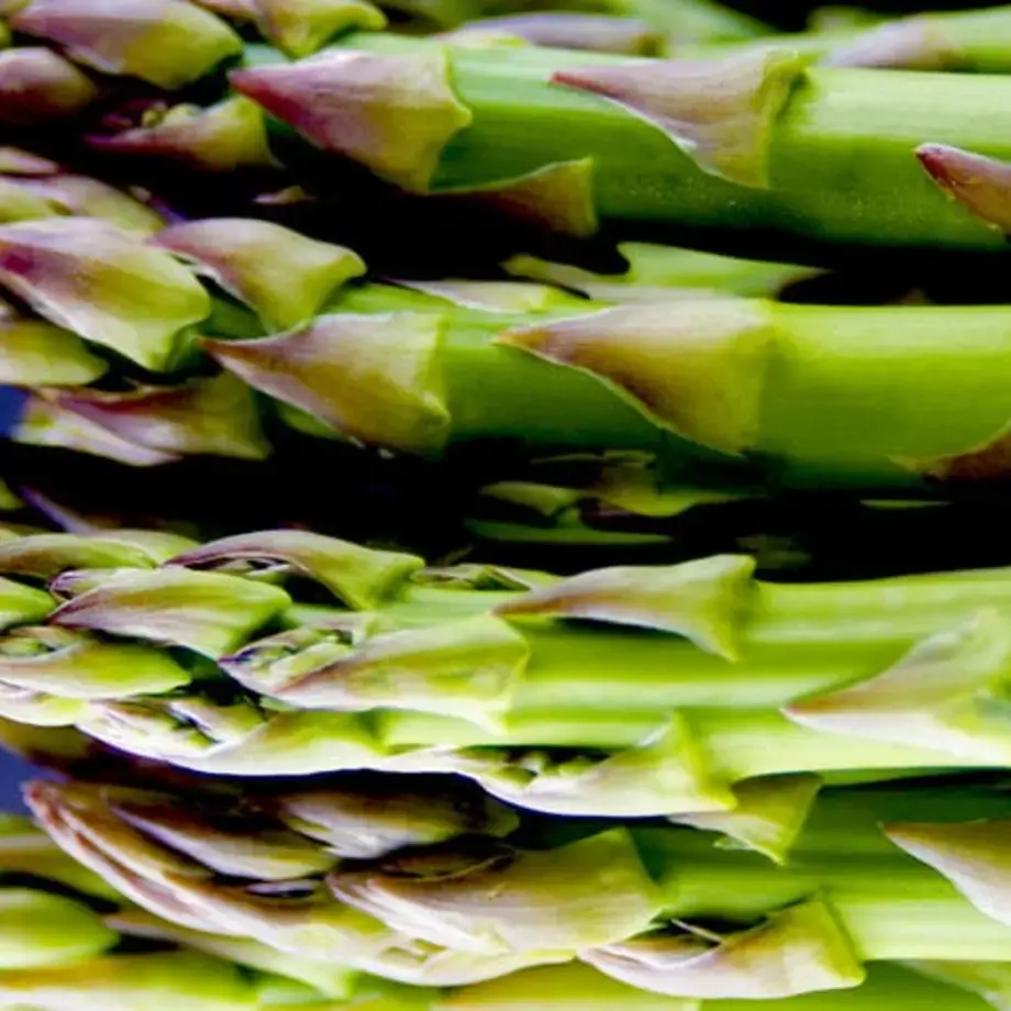 Original_10418_asparagus-finedininglovers-TP